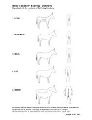 Body Condition Scoring - Donkeys