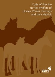 Code of Practice for the Welfare of Horses, Ponies, Donkeys - Gov.uk