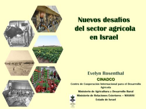 desafios de la agricultura en israel