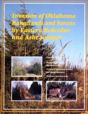 Invasion of Oklahoma Rangelands and Forests by Eastern Red ...