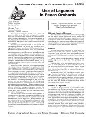 Use of Legumes in Pecan Orchards - OSU Fact Sheets - Oklahoma ...