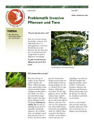 Problematik Invasive Pflanzen und Tiere - AVES - Ostkantone