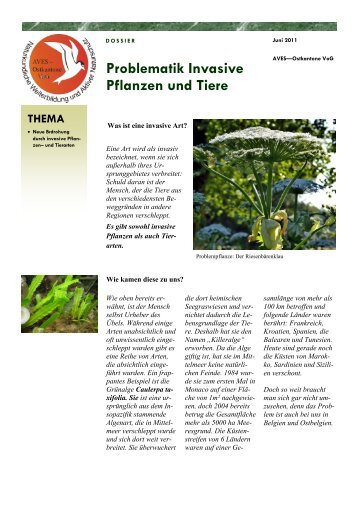 Problematik Invasive Pflanzen und Tiere - AVES - Ostkantone