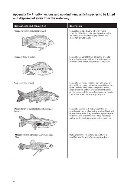 Fish salvage guidelines - Department of Primary Industries