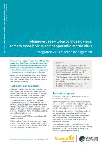 Tobamoviruses-tobacco mosaic virus,