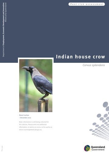 Indian house crow risk assessment