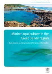 Marine aquaculture in the Great Sandy region - Department of ...
