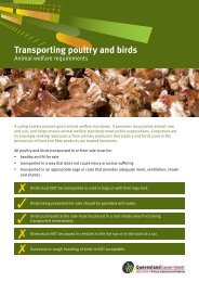 Transporting poultry and birds - Department of Primary Industries