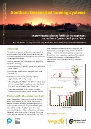 Phosphorus fertiliser mangement - Grain and Graze II