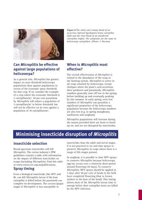 Microplitis and ascovirus - Department of Primary Industries