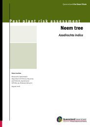 Pest plant risk assessment:Neem treeâAzadirachta indica