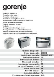 2009 - Gorenje