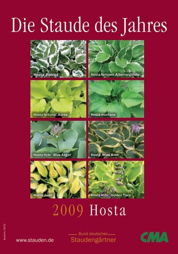 Hosta – Staude des Jahres 2009