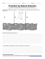 Giraffe Darwins Natural Selection Worksheet Answers