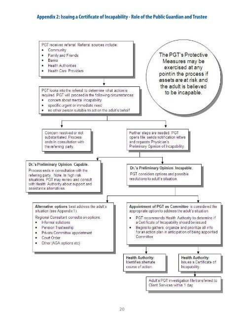 Guidelines for Issuing a Certificate of Incapability under the Patients ...