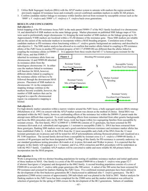 Impact Of Host Plant Xylem Fluid On Xylella Fastidiosa Multiplication ...