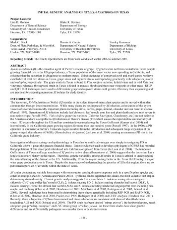 Initial Genetic Analysis of Xylella fastidiosa in Texas - Pierce's ...