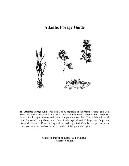Atlantic Forage Guide - Perennia