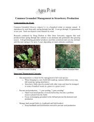 Common Groundsel Management in Strawberry Production - Perennia