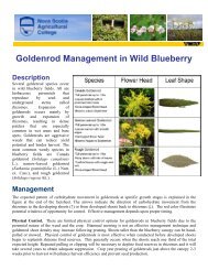 Goldenrod Management in Wild Blueberry - Perennia