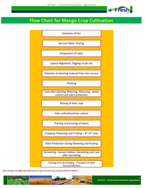 Plant Watering Chart