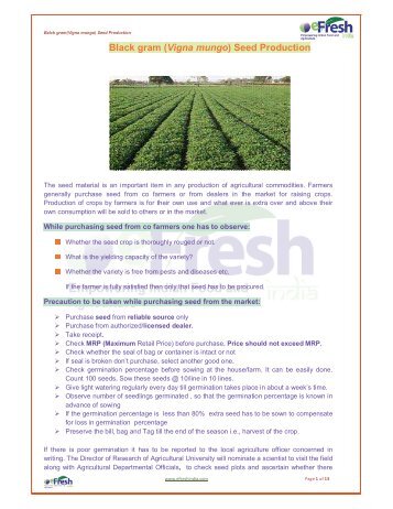 Black gram (Vigna mungo) Seed Production - Efresh India