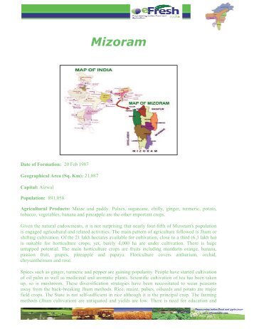 Mizoram - Efresh India