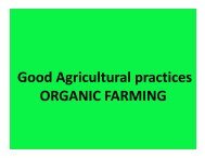 Good Agricultural practices ORGANIC FARMING - Efresh India