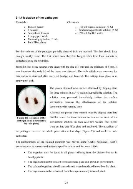 Botryodiplodia sp. - Crops for the Future