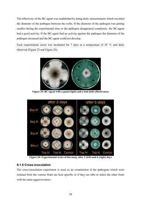 Botryodiplodia sp. - Crops for the Future