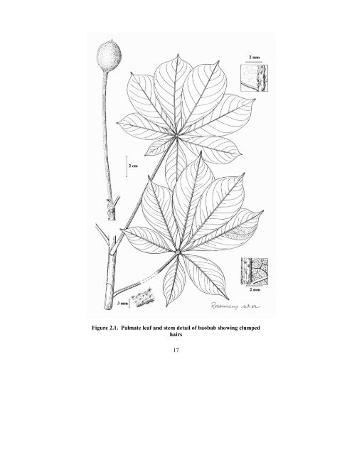 Baobab Monograph.pdf - Crops for the Future