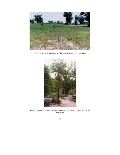 Baobab Monograph.pdf - Crops for the Future