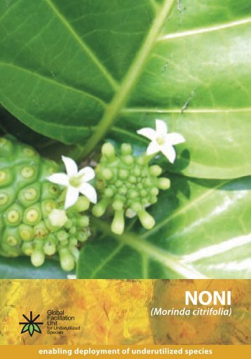 Species brochure-Noni Morinda citrifolia.pdf - Crops for the Future