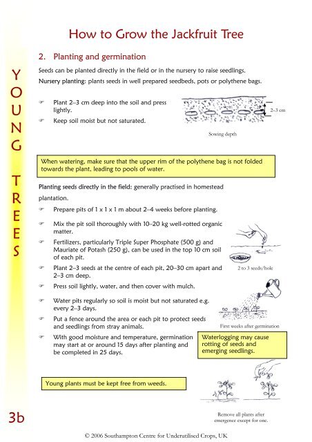 Jackfruit extension manual.pdf - Crops for the Future