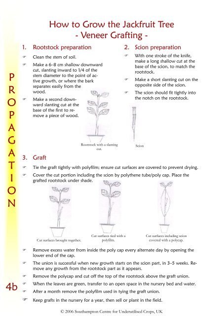 Jackfruit extension manual.pdf - Crops for the Future