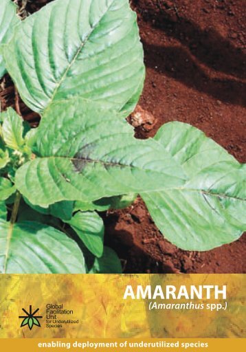 What is Amaranth and where does it come - Crops for the Future