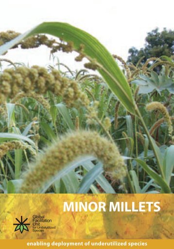 Species brochure-minor millets.pdf - Crops for the Future