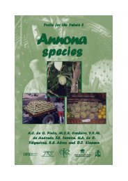 https://img.yumpu.com/27317272/1/184x260/annona-species-monographpdf-crops-for-the-future.jpg?quality=85