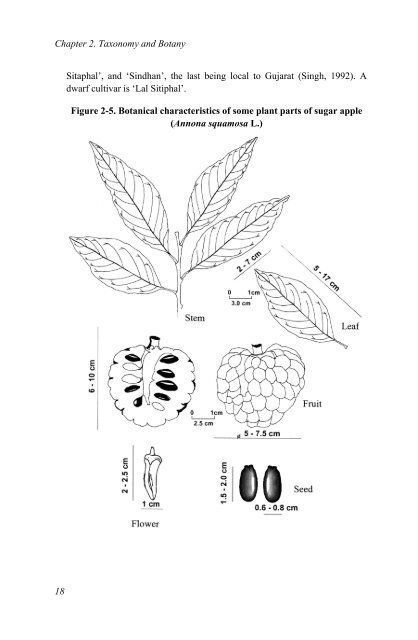 Annona Species Monograph.pdf - Crops for the Future