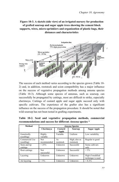 Annona Species Monograph.pdf - Crops for the Future