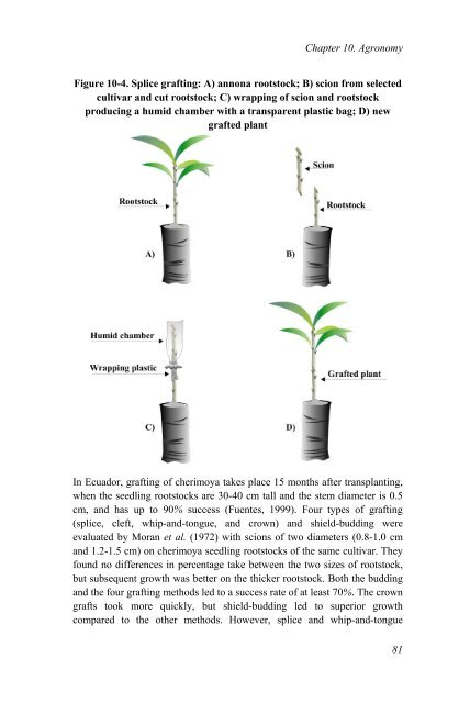 Annona Species Monograph.pdf - Crops for the Future