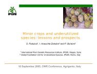 Minor crops and underutilized species: lessons and prospects