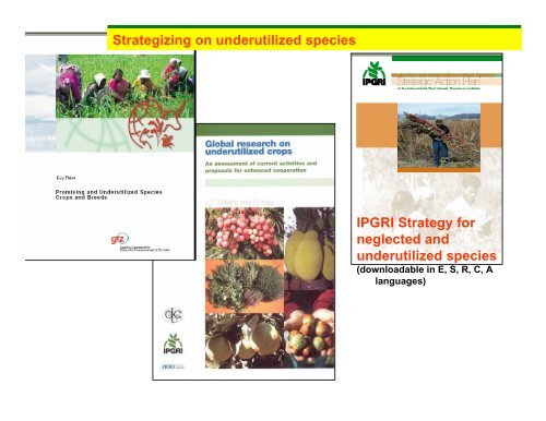 Minor crops and underutilized species: lessons and prospects