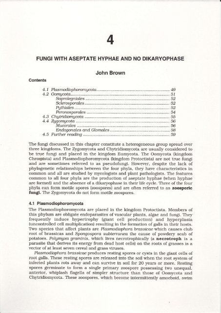 Fungi with aseptate hyphae and no dikaryophase