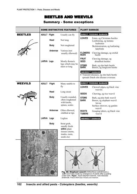 PLANT PROTECTION 1 â Pests, Diseases and Weeds