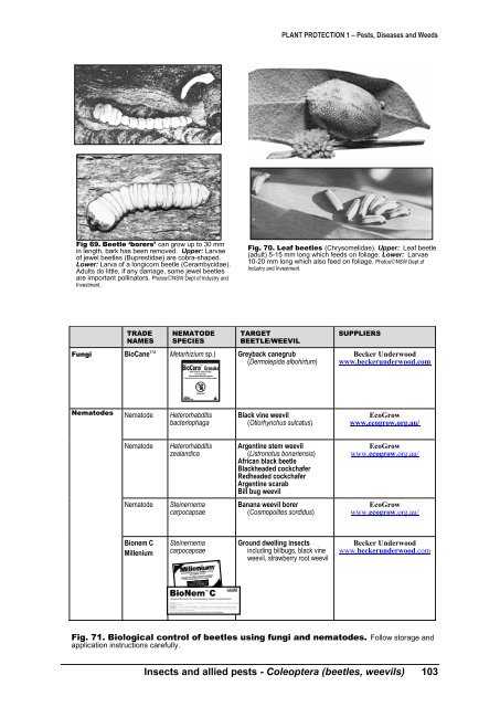 PLANT PROTECTION 1 â Pests, Diseases and Weeds