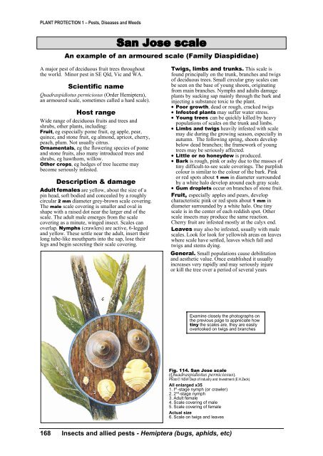 PLANT PROTECTION 1 â Pests, Diseases and Weeds