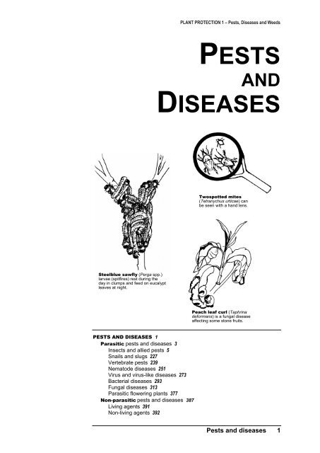 PLANT PROTECTION 1 â Pests, Diseases and Weeds