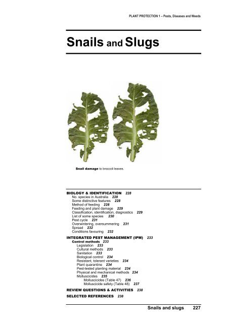 PLANT PROTECTION 1 â Pests, Diseases and Weeds