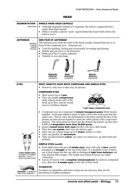 PLANT PROTECTION 1 â Pests, Diseases and Weeds